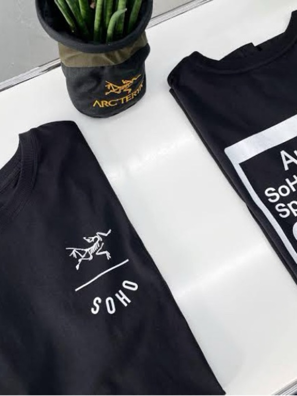 Arc'teryx Limited Edition SoHo Short Sleeve Logo Tee